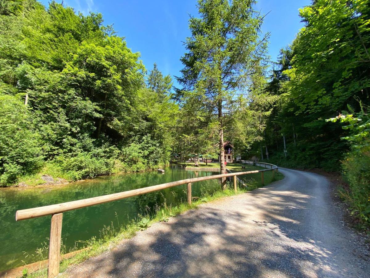 Guesthouse Mesec Zaplana Vrhnika Exteriér fotografie